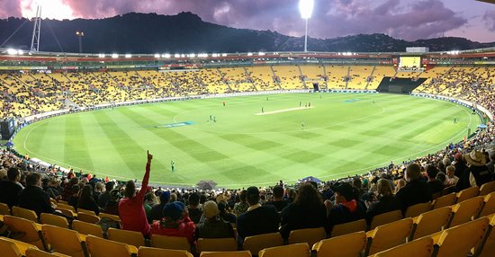 Westpac Stadium seating plan